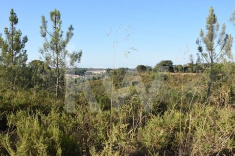 Helårsgrund i Alenquer, Lisbon, Alenquer - € 950.000 | Ref: 1196-7950 - foto 7