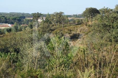 Helårsgrund i Alenquer, Lisbon, Alenquer - € 950.000 | Ref: 1196-7950 - foto 10