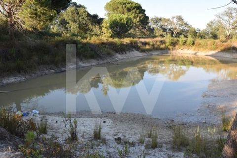 Helårsgrund i Alenquer, Lisbon, Alenquer - € 950.000 | Ref: 1196-7950 - foto 11