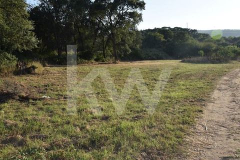 Helårsgrund i Alenquer, Lisbon, Alenquer - € 950.000 | Ref: 1196-7950 - foto 19
