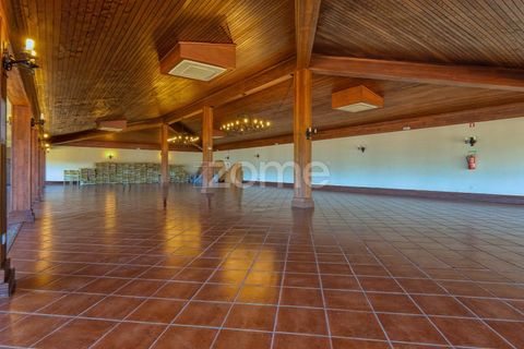 Farm i Barcelos, Braga, Barcelos - € 1.650.000 | Ref: ZMPT568741 - foto 26
