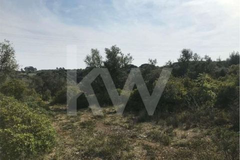 Helårsgrund i Sintra, Lisbon, Sintra - € 430.000 | Ref: 1196-1806 - foto 2