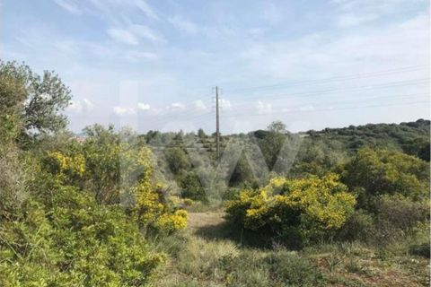 Helårsgrund i Sintra, Lisbon, Sintra - € 430.000 | Ref: 1196-1806 - foto 4