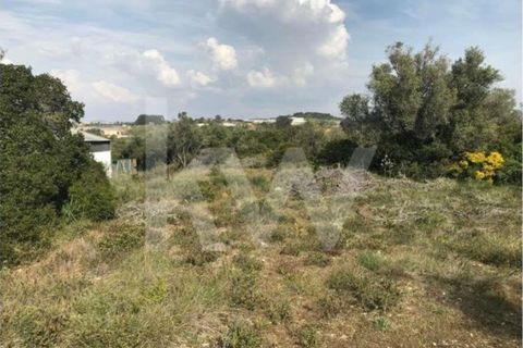 Helårsgrund i Sintra, Lisbon, Sintra - € 430.000 | Ref: 1196-1806 - foto 5