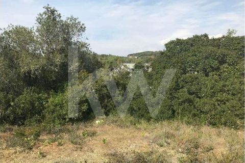 Helårsgrund i Sintra, Lisbon, Sintra - € 430.000 | Ref: 1196-1806 - foto 6
