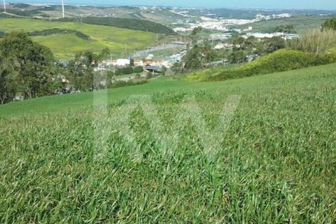 Helårsgrund i Torres Vedras, Lisbon, Torres Vedras - € 40.000 | Ref: 1196-9009 - foto 1