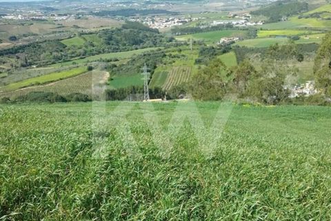 Helårsgrund i Torres Vedras, Lisbon, Torres Vedras - € 40.000 | Ref: 1196-9009 - foto 5