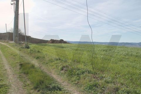 Helårsgrund i Torres Vedras, Lisbon, Torres Vedras - € 40.000 | Ref: 1196-9009 - foto 13