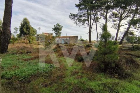 Helårsgrund i Seixal, Setubal, Seixal - € 210.000 | Ref: 1196-3366 - foto 2