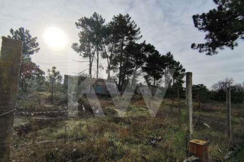 Helårsgrund i Seixal, Setubal, Seixal - € 210.000 | Ref: 1196-3366 - foto 3