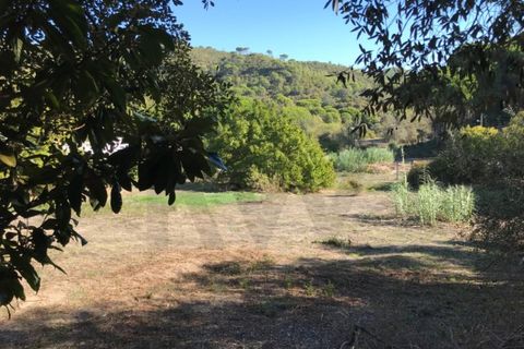 Helårsgrund i Setubal, Setubal, Setubal - € 350.000 | Ref: 1196-4989 - foto 5