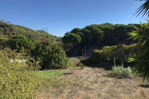 Helårsgrund i Setubal, Setubal, Setubal - € 350.000 | Ref: 1196-4989 - foto 8