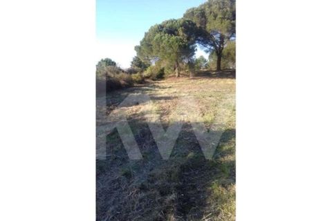 Helårsgrund i Cantanhede, Coimbra, Cantanhede - € 25.000 | Ref: 1196-2177 - foto 1