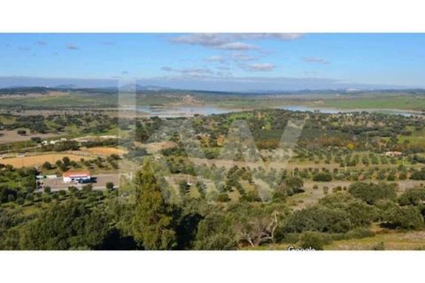 Terra a Alandroal, Evora, Alandroal - € 49.000 | Ref: 1196-5764 - foto 2