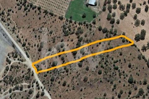 Terra a Alandroal, Evora, Alandroal - € 49.000 | Ref: 1196-5764 - foto 4