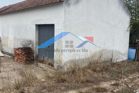 Villa a Coruche, Santarem, Coruche - € 79.000 | Ref: 4089Paúl - foto 2