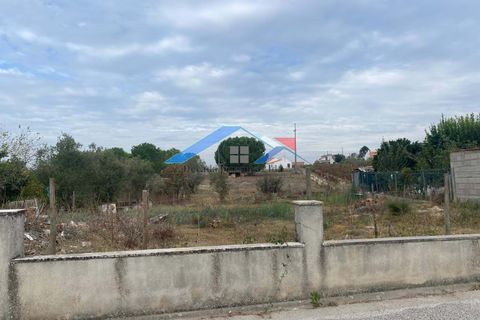 Villa a Coruche, Santarem, Coruche - € 79.000 | Ref: 4089Paúl - foto 4