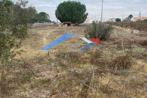 Villa a Coruche, Santarem, Coruche - € 79.000 | Ref: 4089Paúl - foto 5