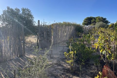 Villa i Pachino, Siracusa, Pachino - € 70.000 | Ref: IBN-1617 - foto 9