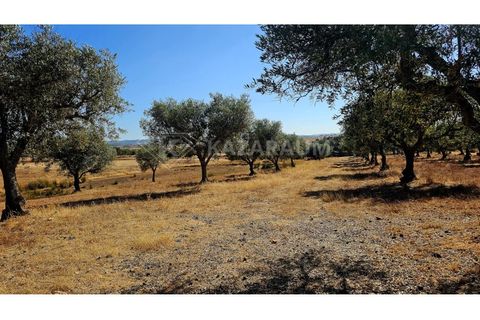 Helårsgrund i Garvao, Beja, Garvao - € 290.000 | Ref: K-286 - foto 1