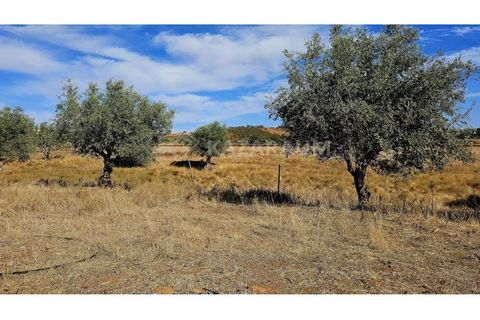 Helårsgrund i Garvao, Beja, Garvao - € 290.000 | Ref: K-286 - foto 2