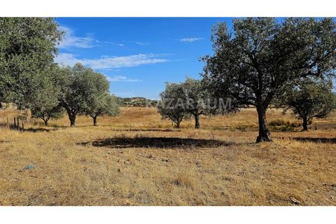 Helårsgrund i Garvao, Beja, Garvao - € 290.000 | Ref: K-286 - foto 3