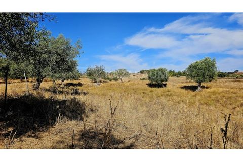 Helårsgrund i Garvao, Beja, Garvao - € 290.000 | Ref: K-286 - foto 6