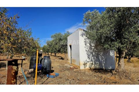 Helårsgrund i Garvao, Beja, Garvao - € 290.000 | Ref: K-286 - foto 7