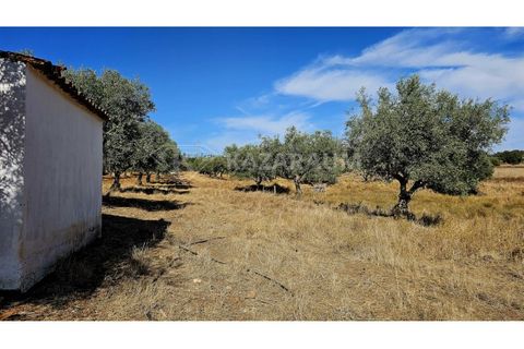 Helårsgrund i Garvao, Beja, Garvao - € 290.000 | Ref: K-286 - foto 8