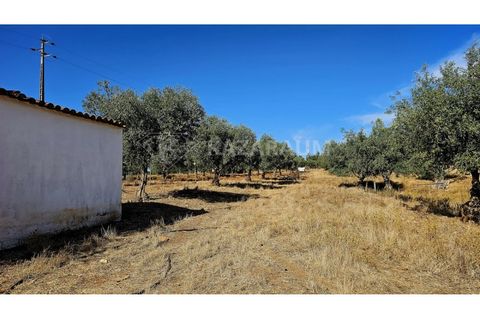 Helårsgrund i Garvao, Beja, Garvao - € 290.000 | Ref: K-286 - foto 9