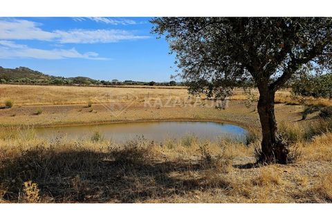 Helårsgrund i Garvao, Beja, Garvao - € 290.000 | Ref: K-286 - foto 10