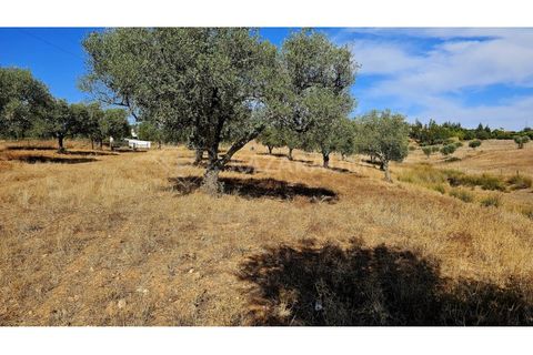 Helårsgrund i Garvao, Beja, Garvao - € 290.000 | Ref: K-286 - foto 13