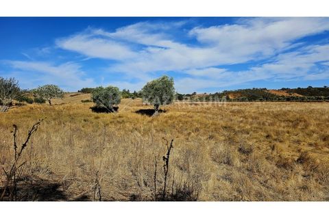 Helårsgrund i Garvao, Beja, Garvao - € 290.000 | Ref: K-286 - foto 15