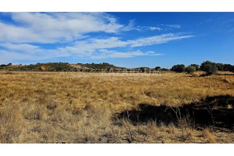 Helårsgrund i Garvao, Beja, Garvao - € 290.000 | Ref: K-286 - foto 16