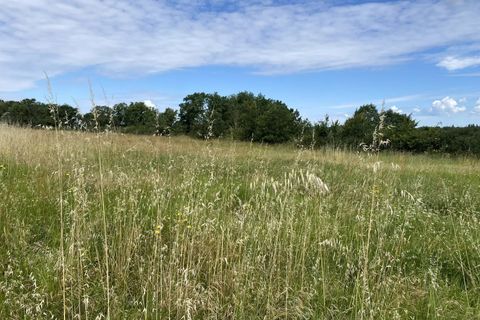 Villa en Montech, Tarn-et-Garonne, Montech - € 283.000 | Ref: 85293231 - photo 3