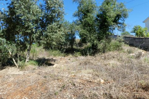 Helårsgrund i Coimbra, Coimbra, Coimbra - € 335.000 | Ref: CC3426 - foto 1