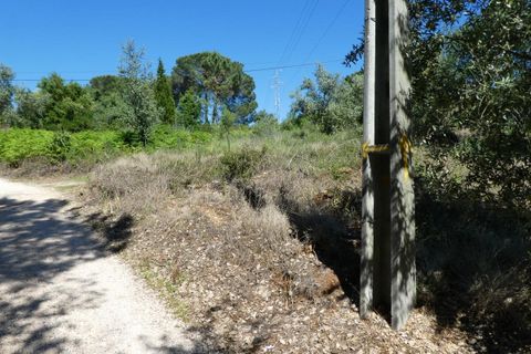 Helårsgrund i Coimbra, Coimbra, Coimbra - € 335.000 | Ref: CC3426 - foto 2
