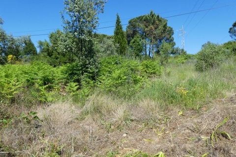 Helårsgrund i Coimbra, Coimbra, Coimbra - € 335.000 | Ref: CC3426 - foto 3