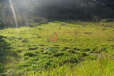 Helårsgrund i Coimbra, Coimbra, Coimbra - € 135.000 | Ref: MR3627 - foto 3