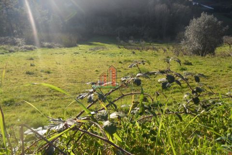 Helårsgrund i Coimbra, Coimbra, Coimbra - € 135.000 | Ref: MR3627 - foto 5
