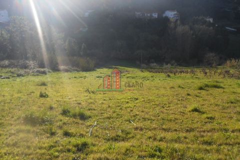 Helårsgrund i Coimbra, Coimbra, Coimbra - € 135.000 | Ref: MR3627 - foto 6
