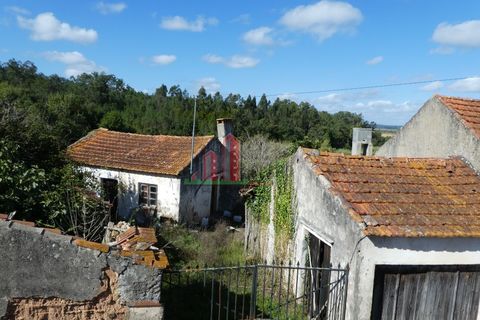 Villa i Soure, Coimbra, Soure - € 85.000 | Ref: JG3743 - foto 3