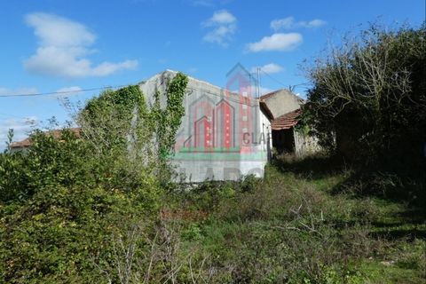 Villa i Soure, Coimbra, Soure - € 85.000 | Ref: JG3743 - foto 7