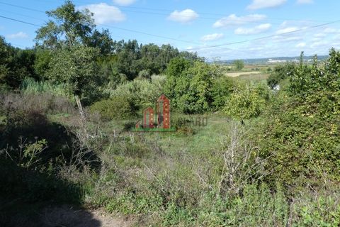 Villa i Soure, Coimbra, Soure - € 85.000 | Ref: JG3743 - foto 10