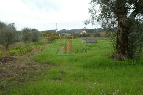 Helårsgrund i Soure, Coimbra, Soure - € 30.000 | Ref: JG3756 - foto 1