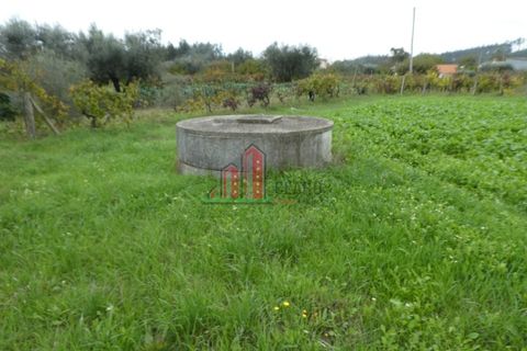 Helårsgrund i Soure, Coimbra, Soure - € 30.000 | Ref: JG3756 - foto 3