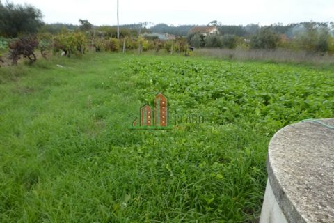 Helårsgrund i Soure, Coimbra, Soure - € 30.000 | Ref: JG3756 - foto 4