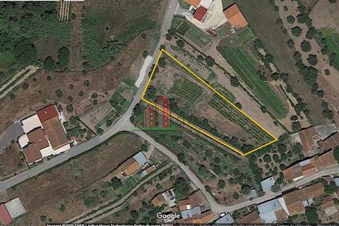 Helårsgrund i Soure, Coimbra, Soure - € 30.000 | Ref: JG3756 - foto 5