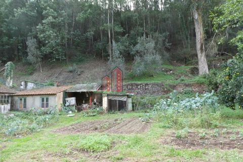 Landejendom i Coimbra, Coimbra, Coimbra - € 110.000 | Ref: CC3770 - foto 4
