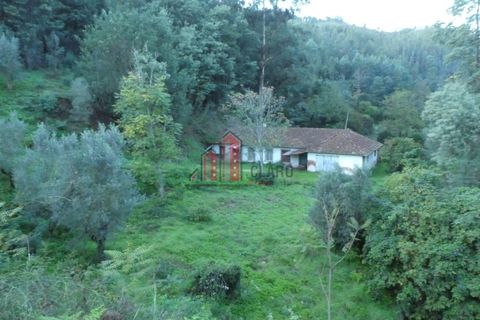 Landejendom i Coimbra, Coimbra, Coimbra - € 110.000 | Ref: CC3770 - foto 9
